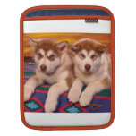 Alaskan Malamute Puppies Rickshaw Sleeve Sleeves For iPads