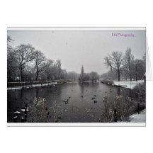 Albert Pond in the Snow Greeting Cards