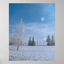 Alberta Posters