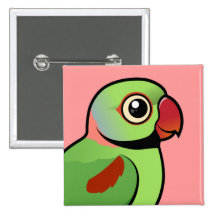 Alexandrine Parakeet Buttons