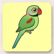 Alexandrine Parakeet Coasters