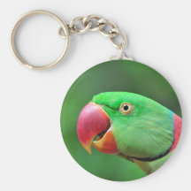 Alexandrine Parakeet Key Chains