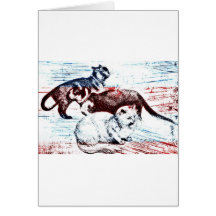 All American Cats Illustration Artwork Cards