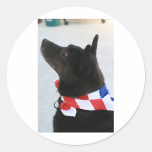 All American Sticker