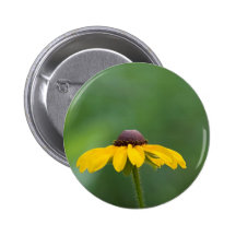 all clear button