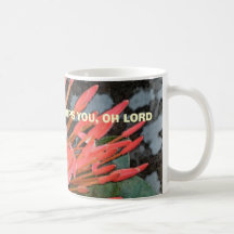 ALL CREATION WORSHIP MUGS