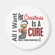 All I Want For Christmas Brain Tumour Magnets