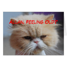 Allan Brother Birthday Persian Cat Humour Cards