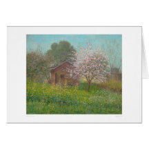 Almond Blossoms and Wild Mustard (1152) Card
