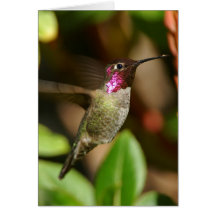 almost - Hummingbird Card