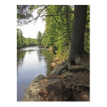 Along The Kettle River Postcard