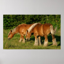 Along the Road... Print