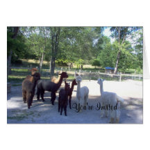 alpaca  You're Invited Card