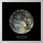 Alpha Female Grey Wolf Wildlife-Support Poster