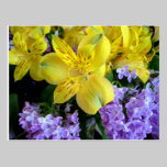 Alstroemeria and  Lilacs Flowers Postcard postcards