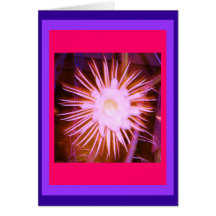 Altered Pink Cactus Flower Greeting Cards