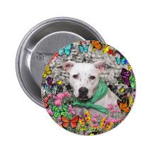 Alyssa in Butterflies Buttton Buttons