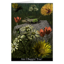 Am I Buggin' You? Card