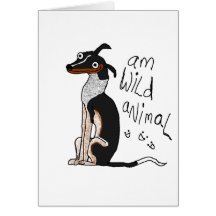 Am Wild Animal Cards