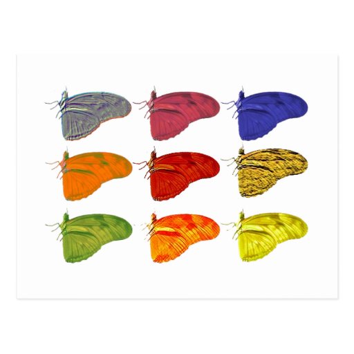 Amazon Coloured Butterfly Postcard