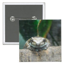 Amazon Milk Frog Button