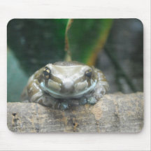 Amazon Milk Frog Mouse Pad