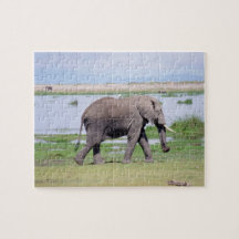 Amboseli Elephant Puzzle