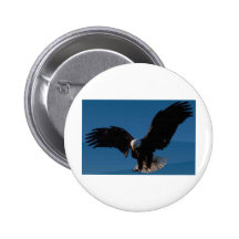 American Bald Eagle Pins
