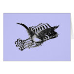 American Bald Eagle with Flag Cards