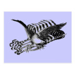 American Bald Eagle with Flag Post Cards