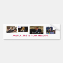 AMERICAN BIRD BUMPER STICKER