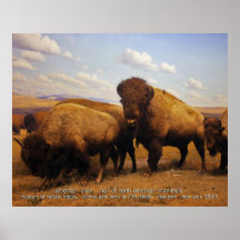 american bison posters