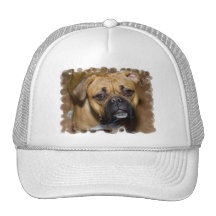 American Boxer Baseball Hat