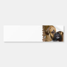 American Boxer Bumper Sticker