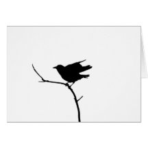 American Crow Greeting Card