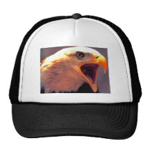 American Eagle - Bald Eagle Mesh Hats