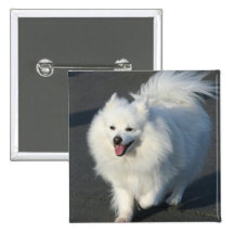 American Eskimo Button