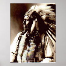 American Horse Print
