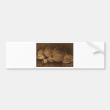 American Indian Collection Bumper Stickers