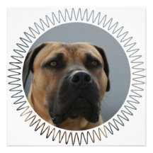 American Mastiff Invitation