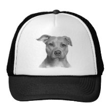 American Pit Bull Terrier Hats