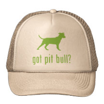American Pit Bull Terrier Mesh Hat