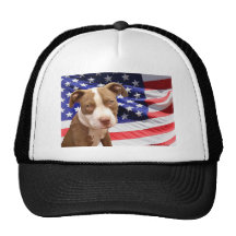 American Pitbull puppy Hats