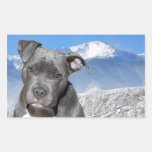 American Pitbull Terrier Puppy Dog Sticker