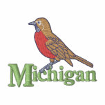 American Robin