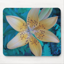 American Tiger Lily Mouse Pad