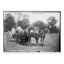 American Troika Postcards