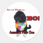 AMERICA'S FIRST DOG:  BO STICKERS