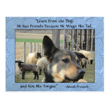 Amish Postcard. Dog Proverb. Add YOUR STORE NAME