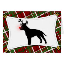 AmStaff Reindeer Christmas Card